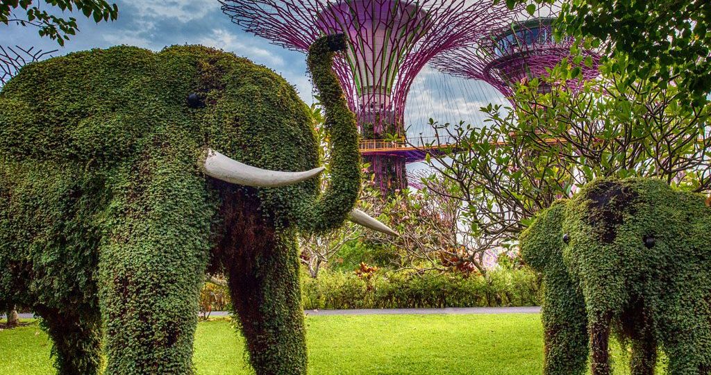Singapore-Gardens